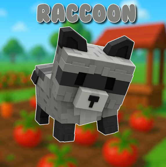 Raccoon